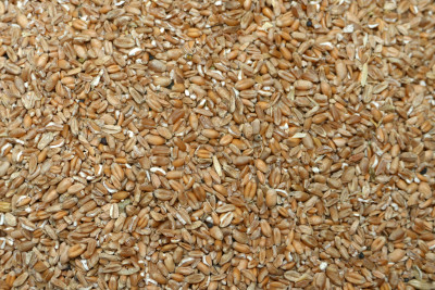 MJM agro Propad pšenice 20 kg